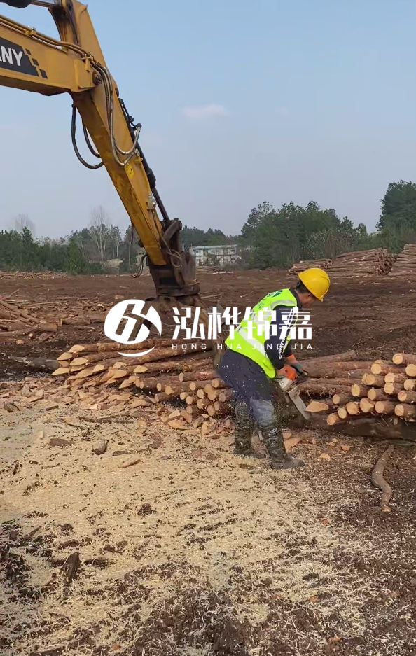 滁州挖機(jī)打木樁專業(yè)施工-河道打木樁與河岸加固關(guān)系？